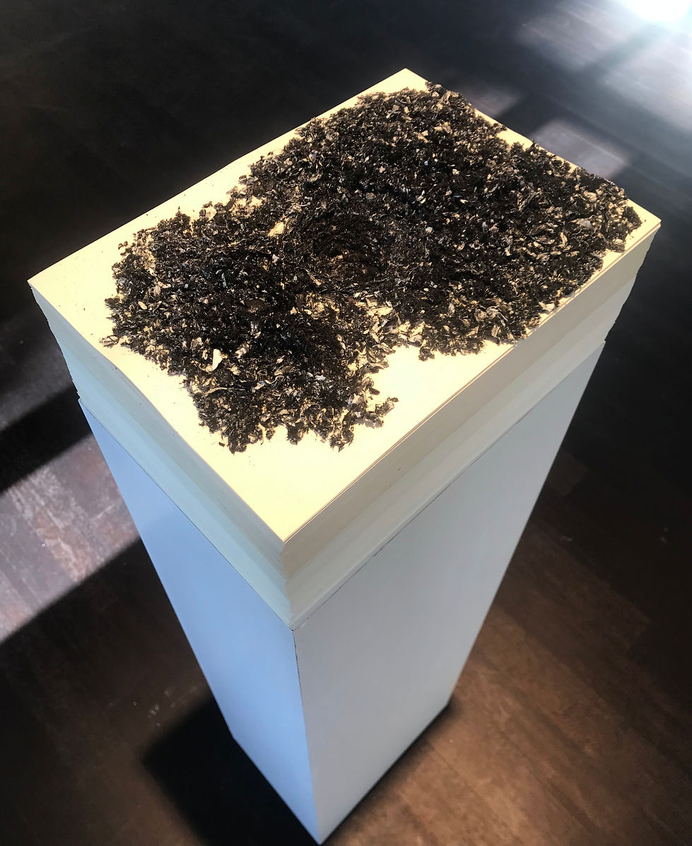 Hacer Kiroglu, artwork, contemporary art, pen, paper sheet, art exhibition, vision art platform, Cagri Saray