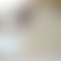 siding, siding damage, siding inspection, siding repair