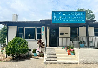 Whiskerville Kitty Cat Cafe