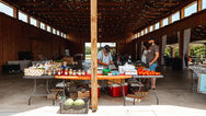 Gaston County's Farmers Markets Grown. Raised. Caught. Made.