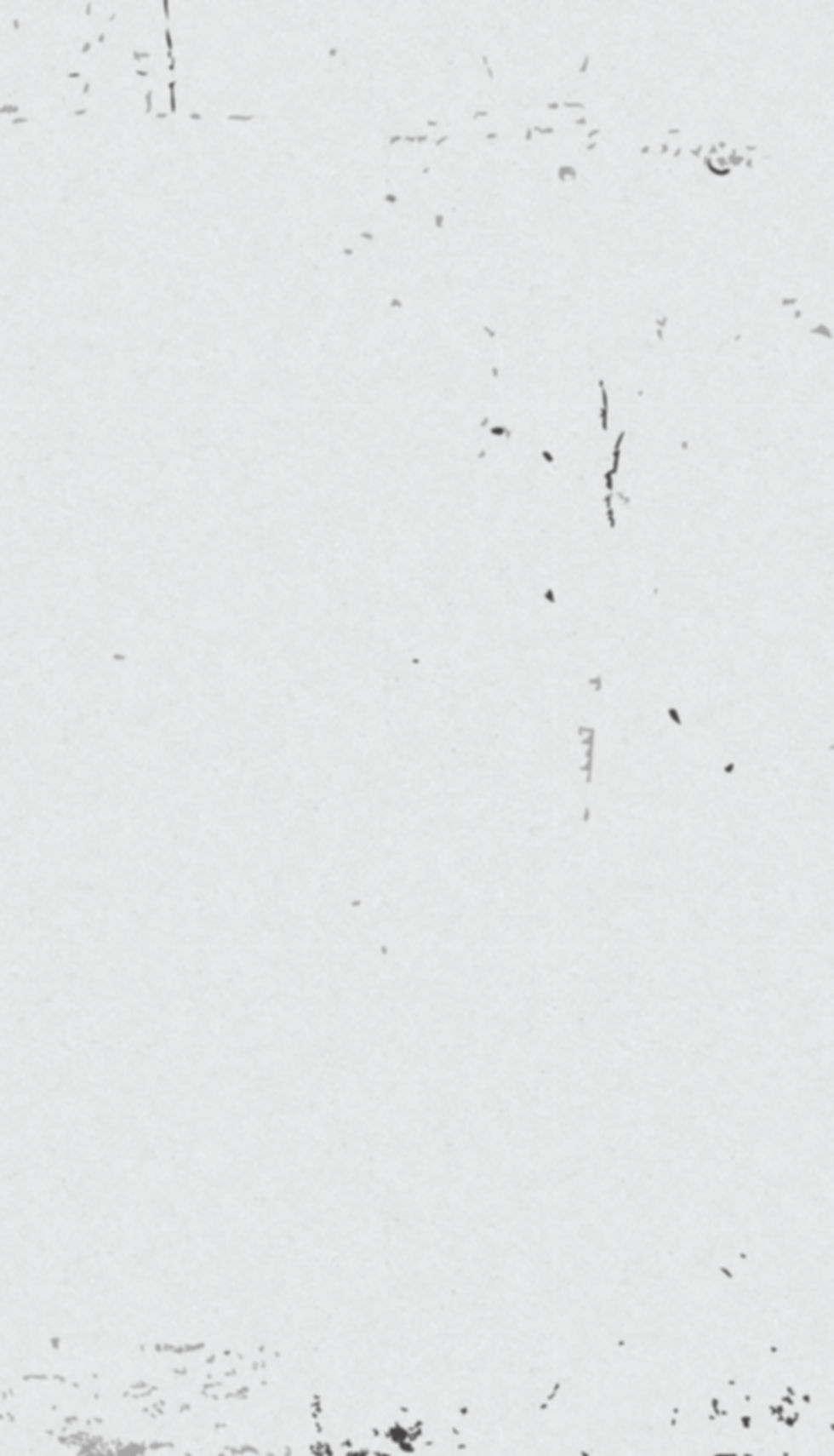 Blank.bkg_edited.jpg
