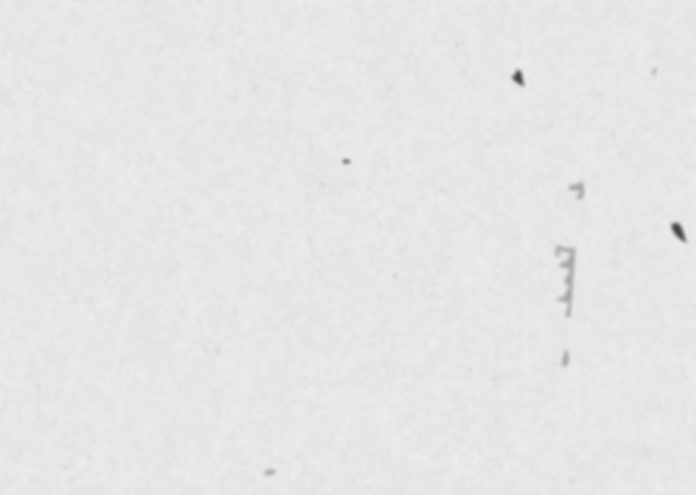 Blank.bkg_edited.jpg