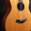 Thumbnail: Taylor GT8 Baritone