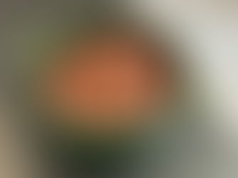 Kichererbsen neu gedacht – das geht auch süß?