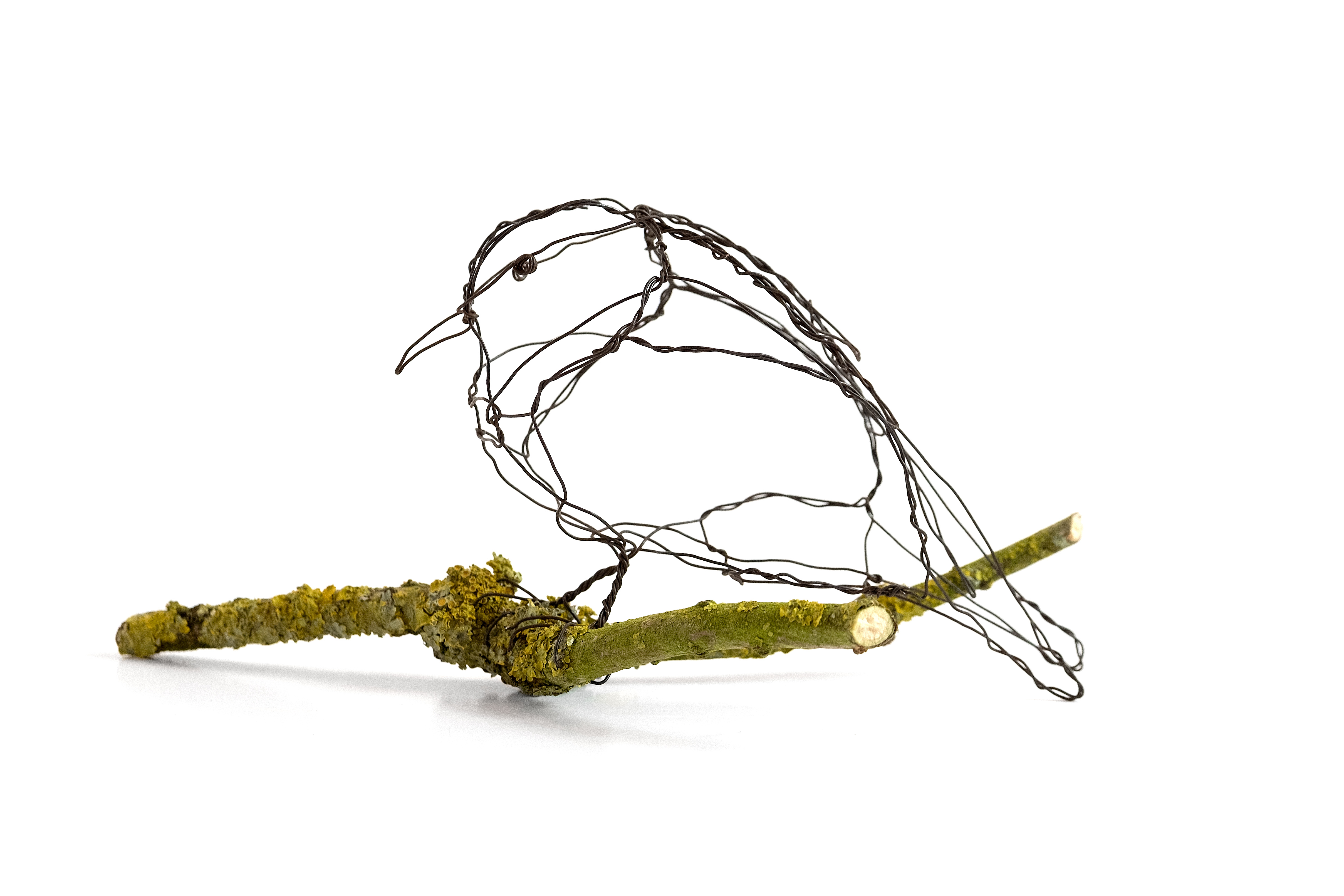 Small-bird-for-web