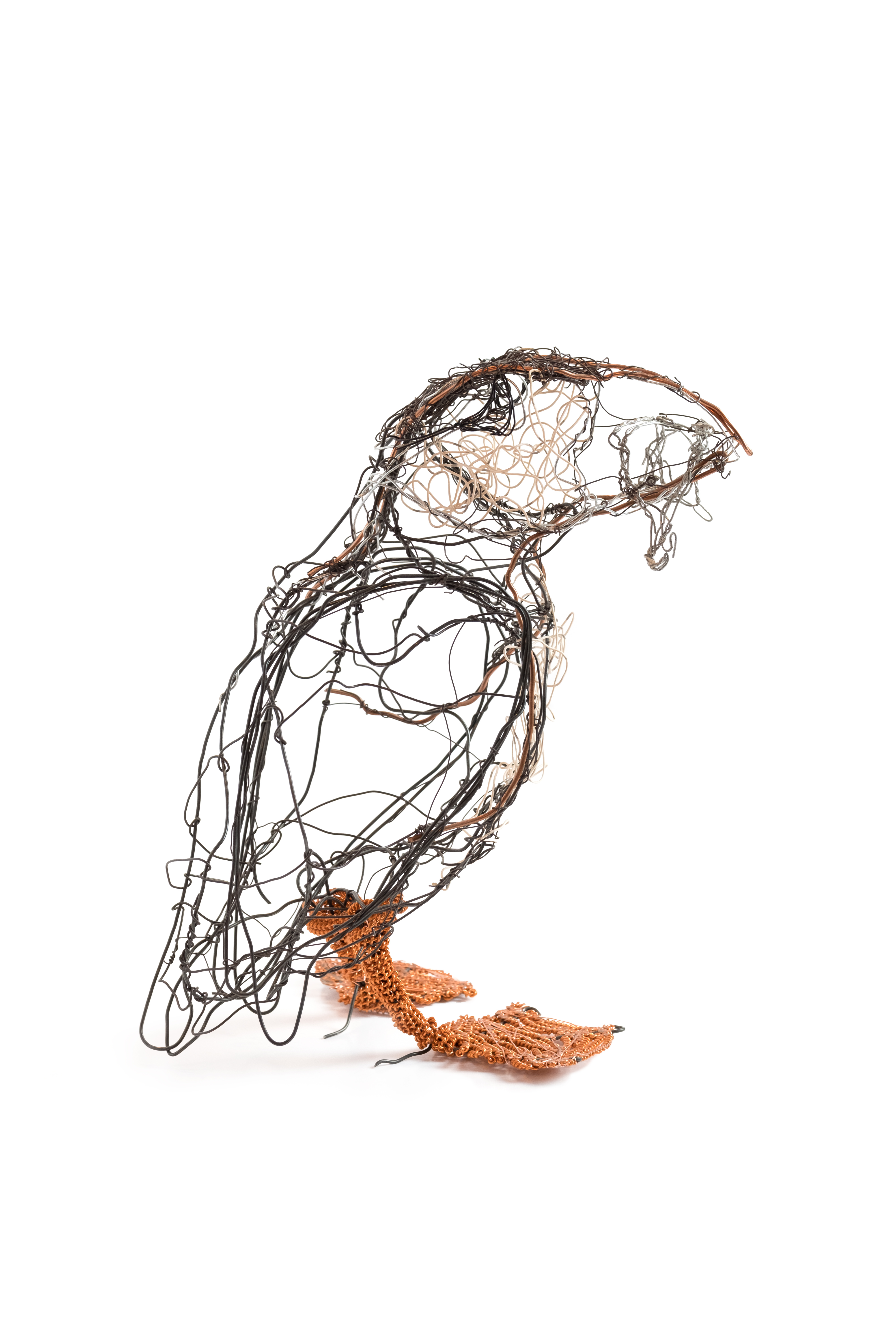Puffin-for-web