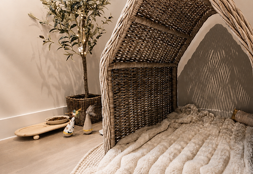 Maine Coon nursery at Tycoon Manor in Wimborne, Dorset