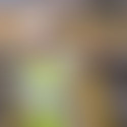 Tertiary Wastewater Treatment: The Benefits for the Environment 