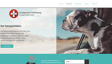 website design services - The Hive Portfolio