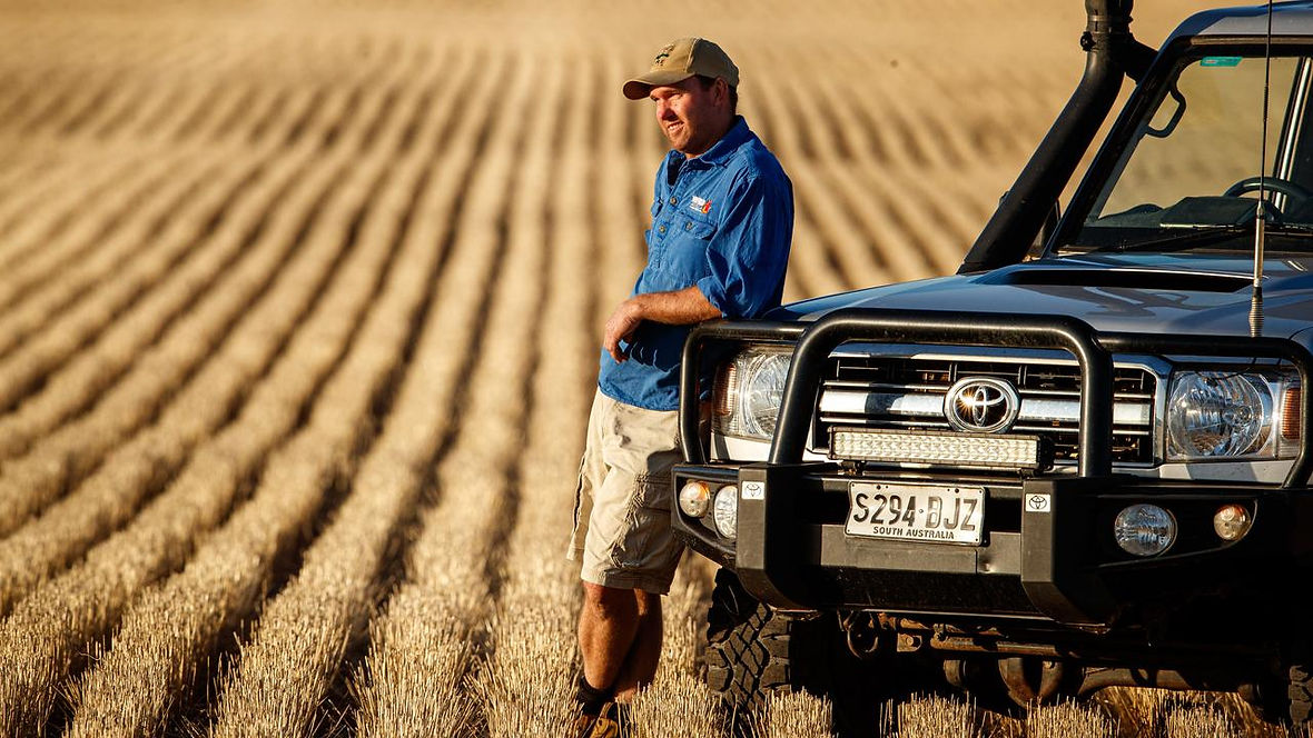 Ryanies Landcruiser.jpeg