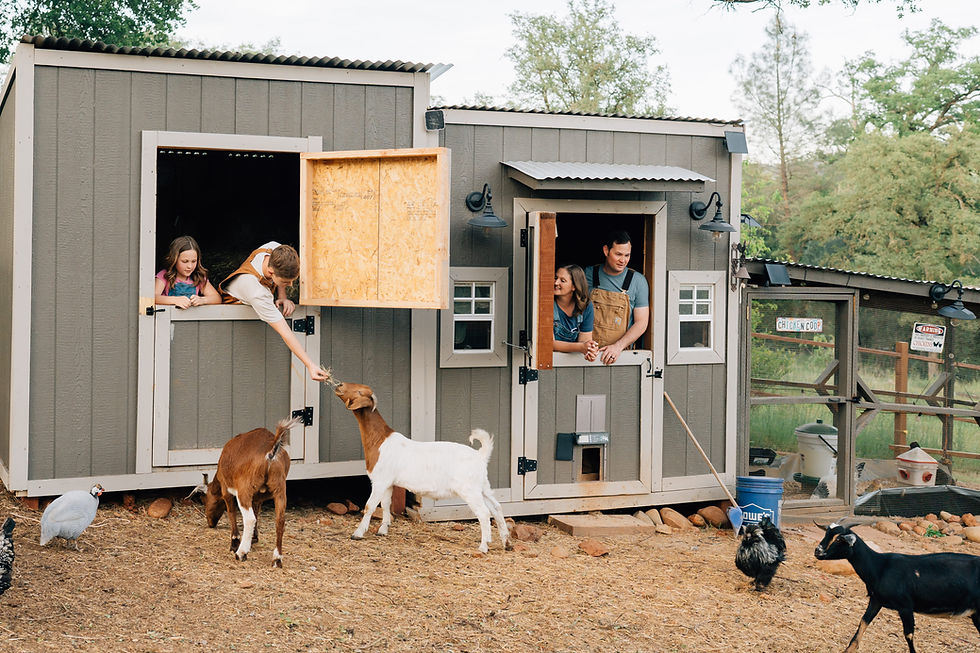 A Homestead Family Session in Browns Valley, California