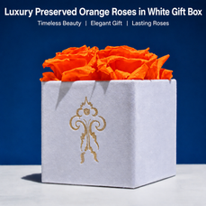 Orange Rose Gift Box for Halloween