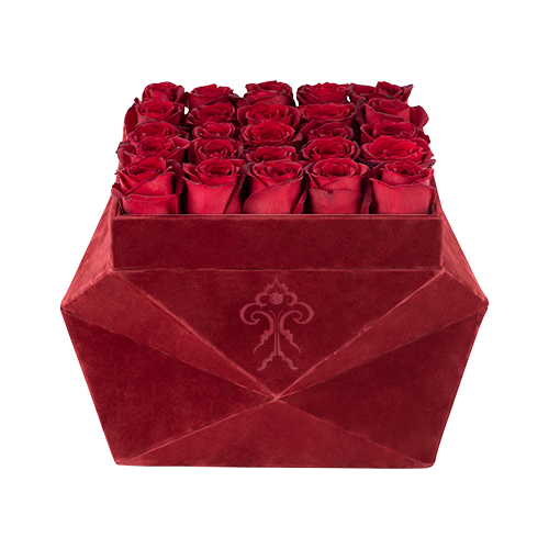 Burgundy 25 Roses