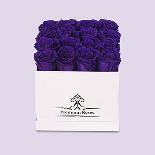 Twenty purple preserved roses in a white glossy square gift box