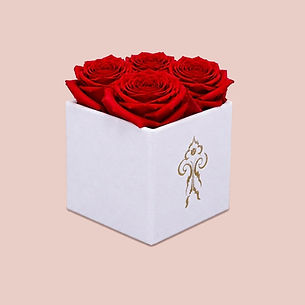 Four red preserved roses in a white velvet gift box