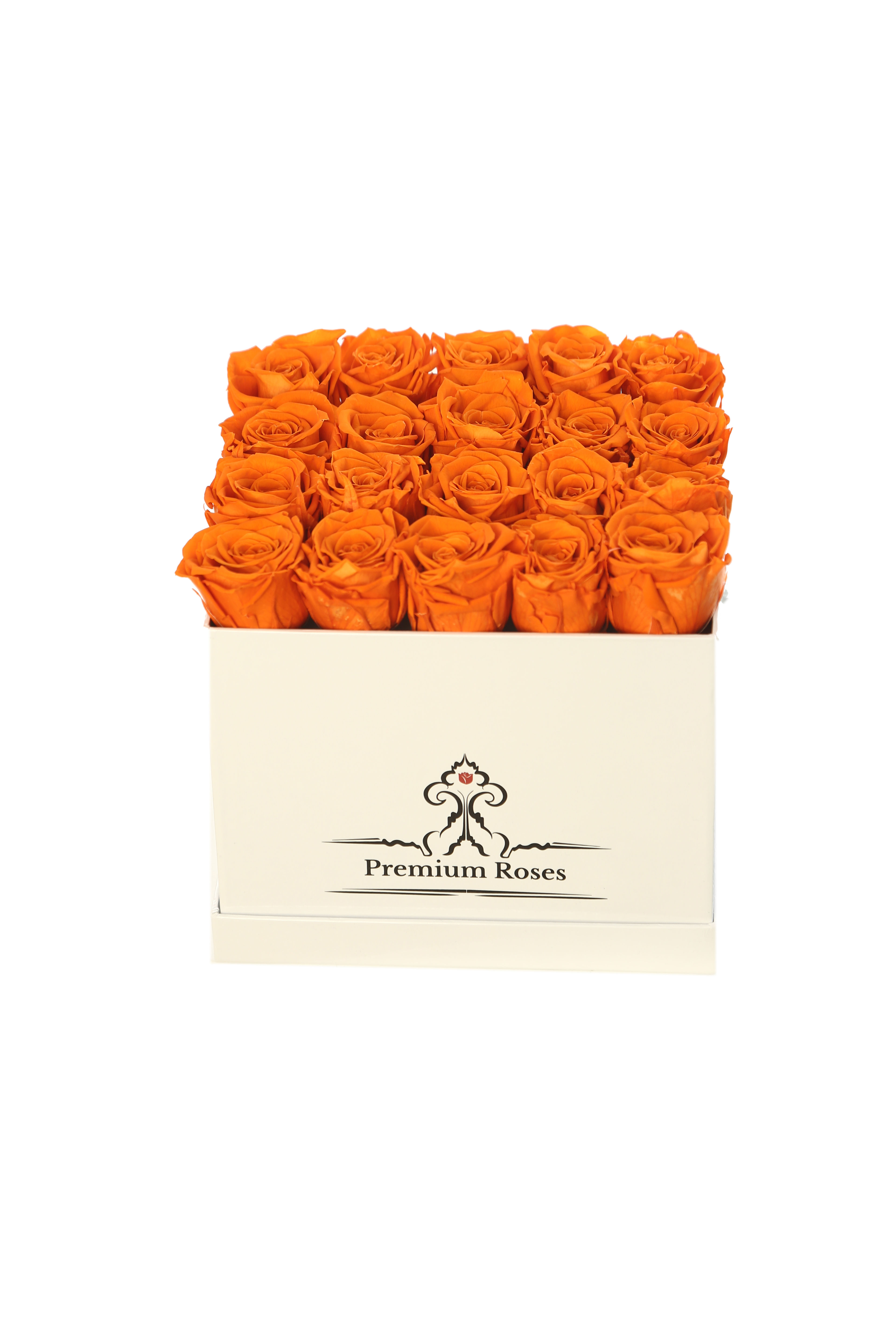 Orange preserved roses in the white posh gift box