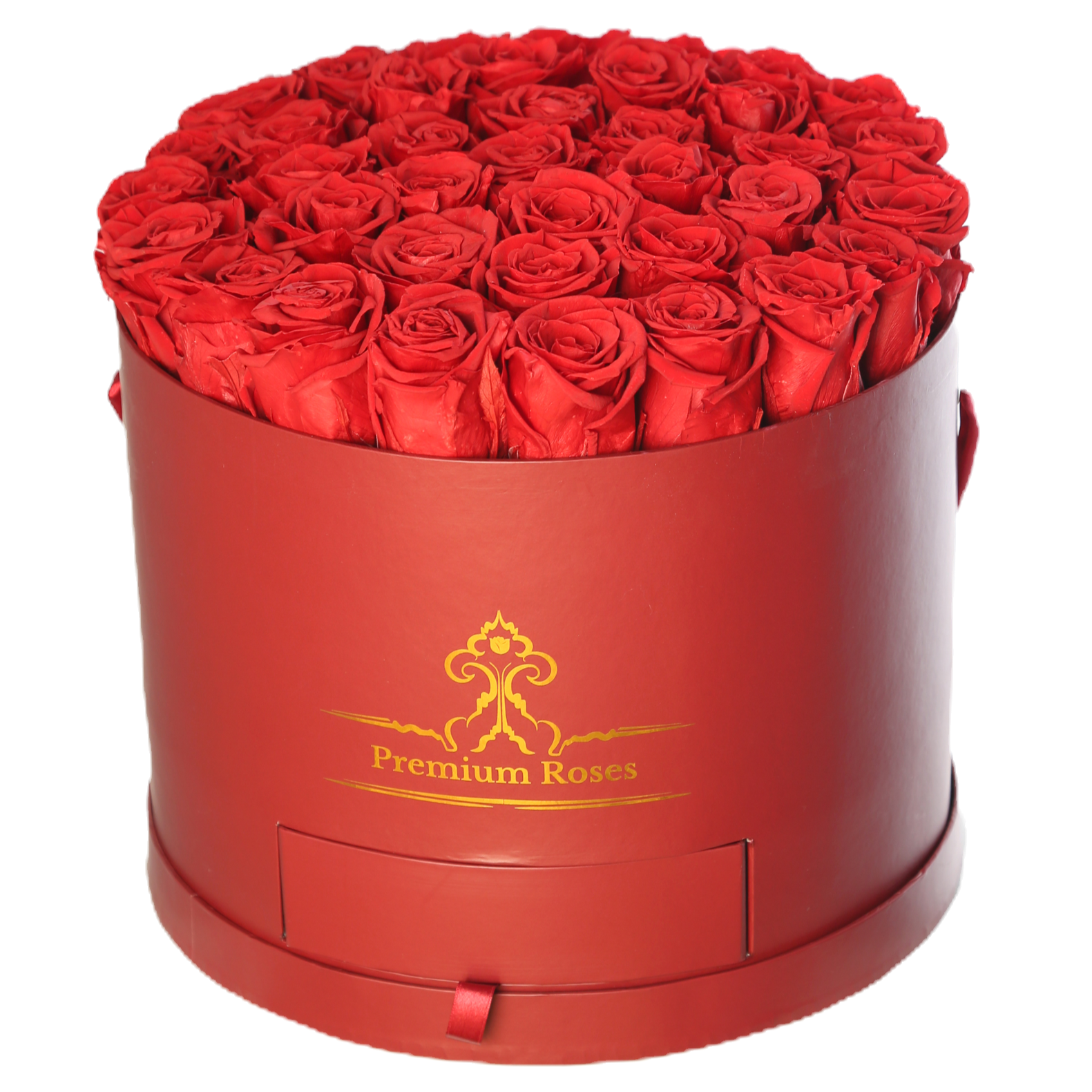 Red preserved roses in a round velvet gift box, real forever roses
