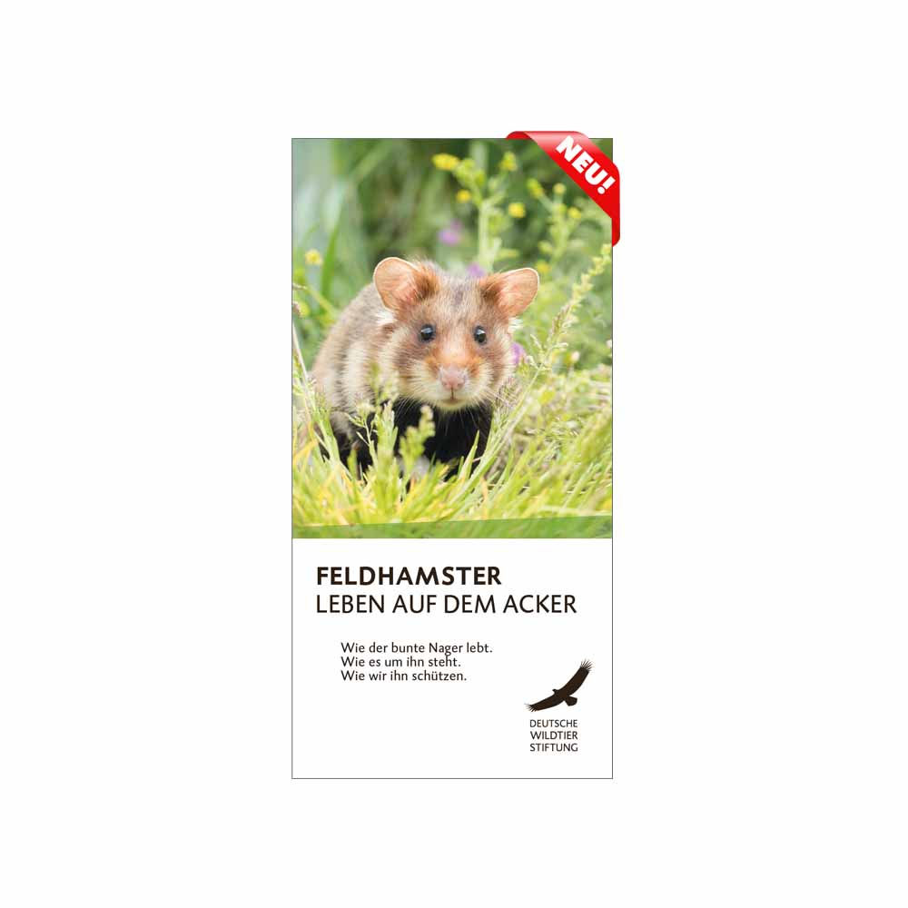FELDHAMSTER FLYER 2025