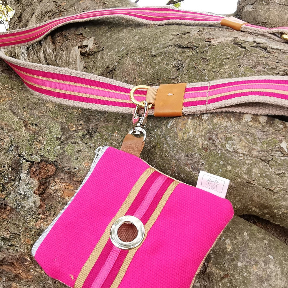 Miniatura: Leash Stripes - Set 3 pezzi: guinzaglio, collare, portasacchettini