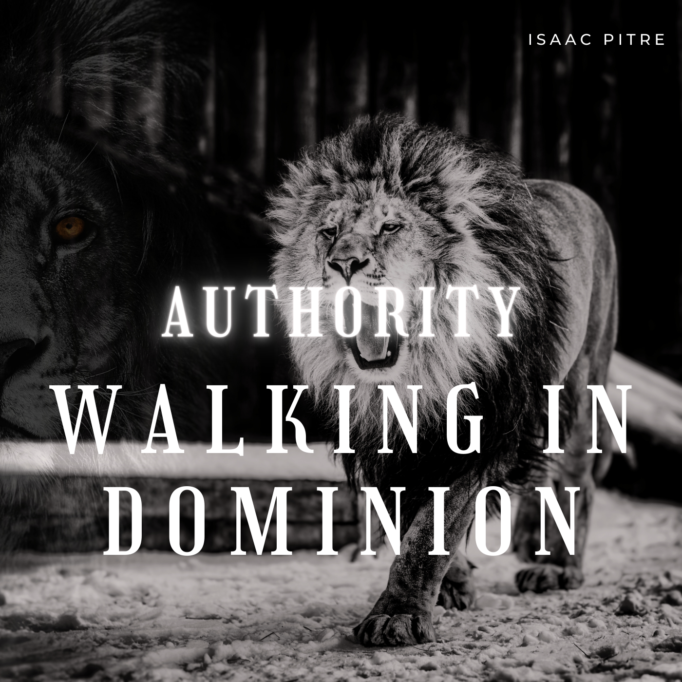 Authority: Walking In Dominion