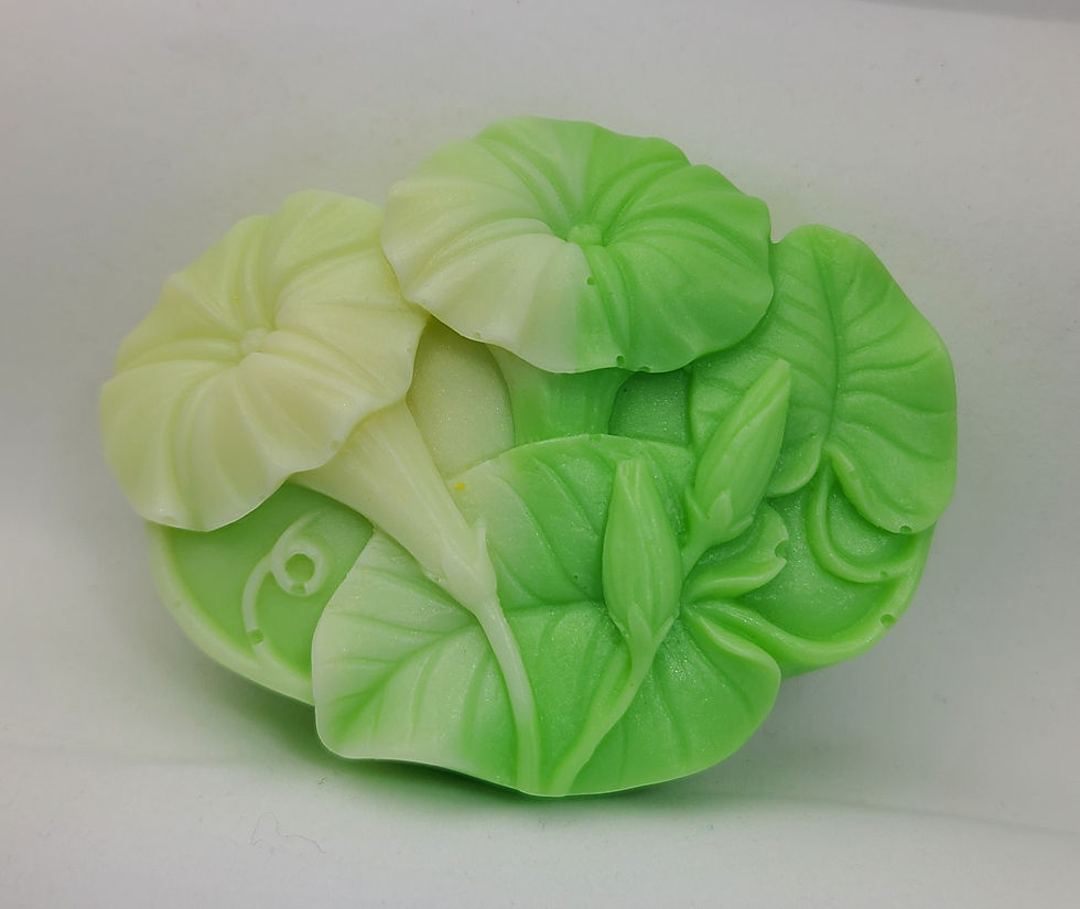 Thumbnail: Morning Glory