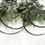 Thumbnail: Crescent Moon Hoops