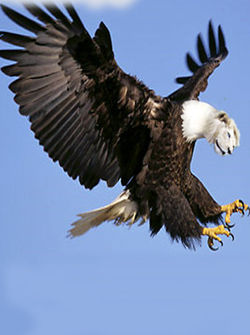 Edited Image 2014-11-5-12:53:45