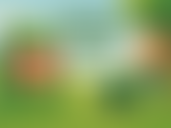 Scotts GrubEx: Where To Buy, Price, And How To Apply (2025)