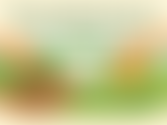 When To Apply Grub Control: Regional Timing, Products, Tips