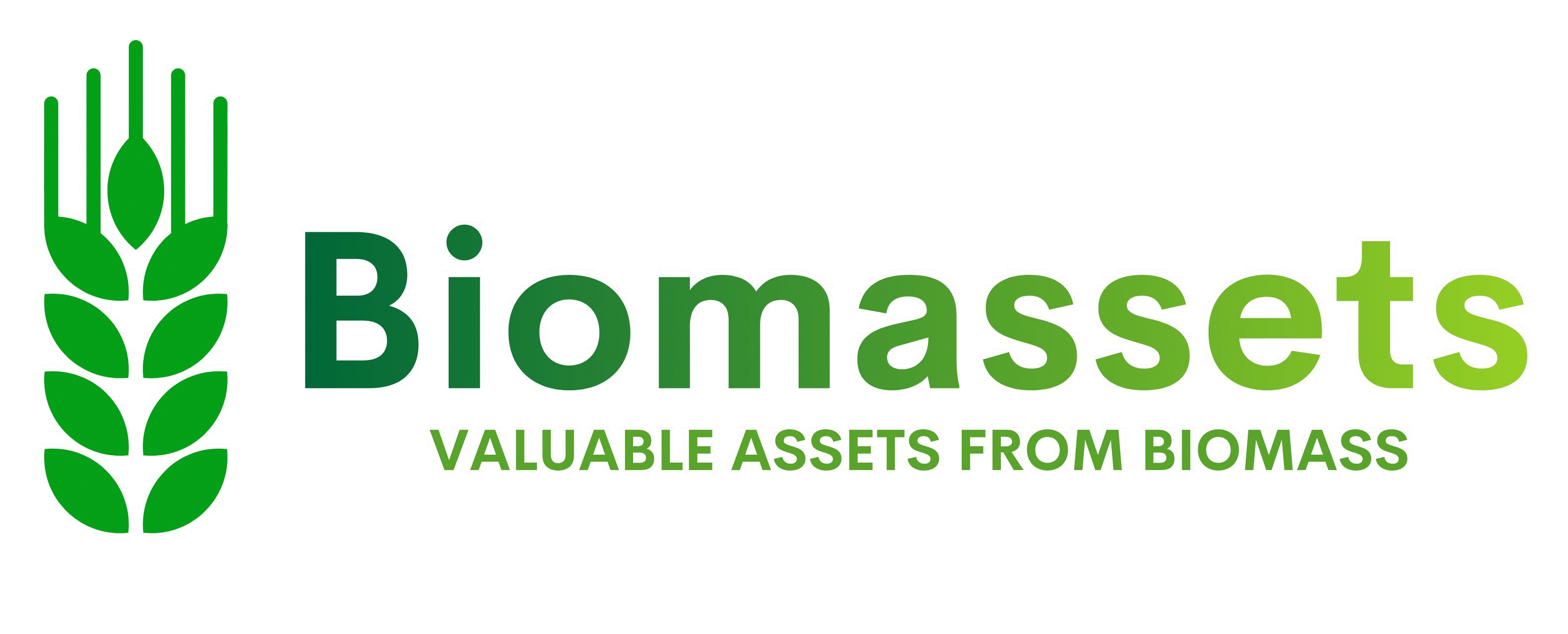 Biomassets logo.gif