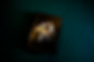 PSX_20260523_151811.jpg