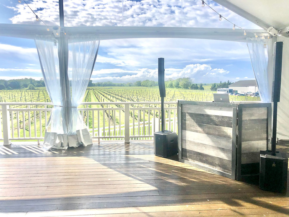 East End Entertainment DJ Best wedding Hamptons Montauk Driftwood decor amber uplight Bede