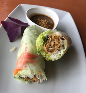 Crispy Salad Rolls