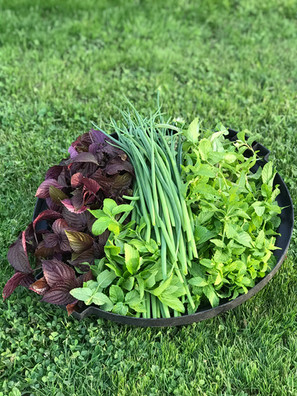 Our fresh grown herbs