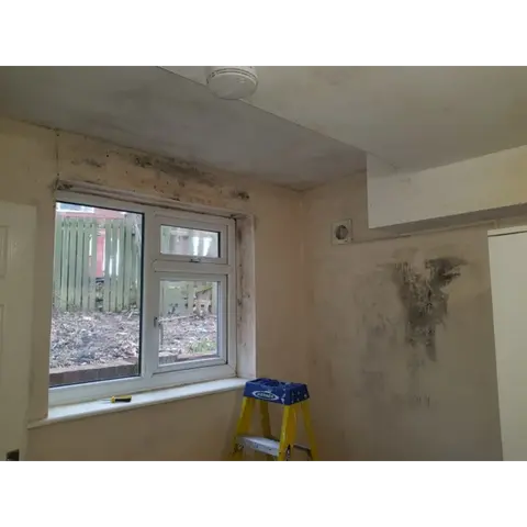 Mould on home interior