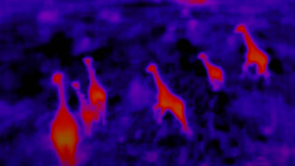 Parrot - Anafi Thermal - Présentation