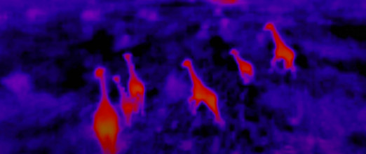 thermal3.jpeg