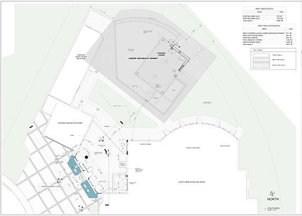C__Users_ingen_Documents_Shapiro-CD13_page-0001 (1)_edited.jpg