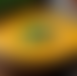 Orange lentil soup in a brown bowl garnished with fresh parsley. Wooden table background with scattered lentils and herbs. Cozy vibe.