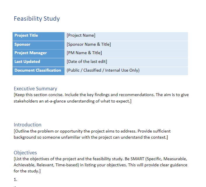 Feasibility Study Template