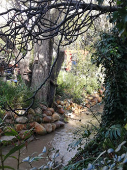 9de37ba4-820c-4a93-810c-07464dc7f38f