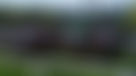 Norsk Derby 2025: Galopphesten – levende leketøy for de rike