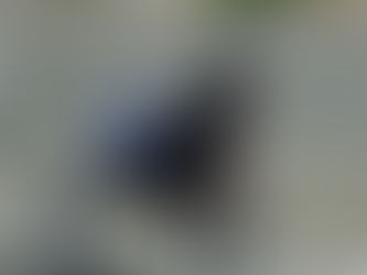 Veddeløpsindustriens siste ofre