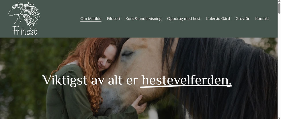 Velferdsfantasien utnyttes i markedsføring. Skjermdump fra frihest.no.
