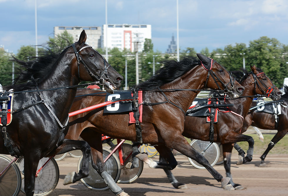 Travløp. Illustrasjonsfoto: Shutterstock