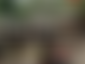 Jazz in the woods: Free jazz concerts in Bois de la Cambre