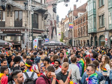 Survival Guide for Brussels Pride