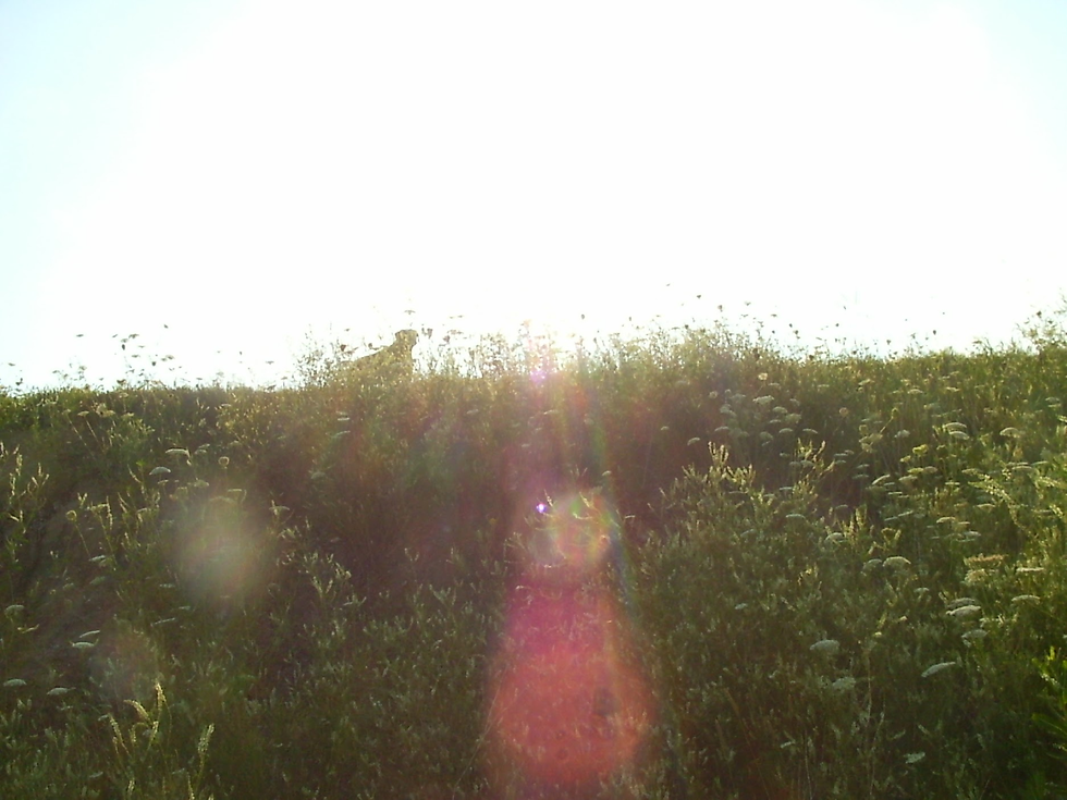 image (77).png