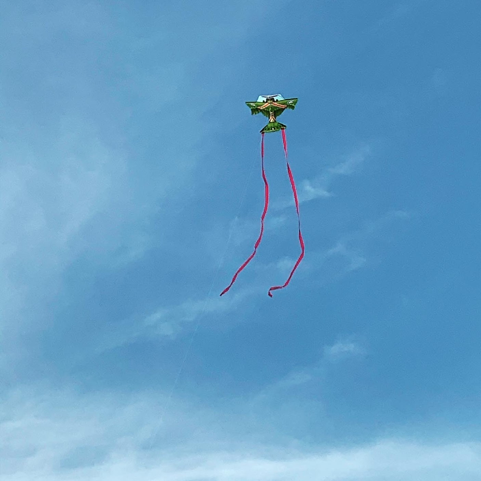 image (2).png