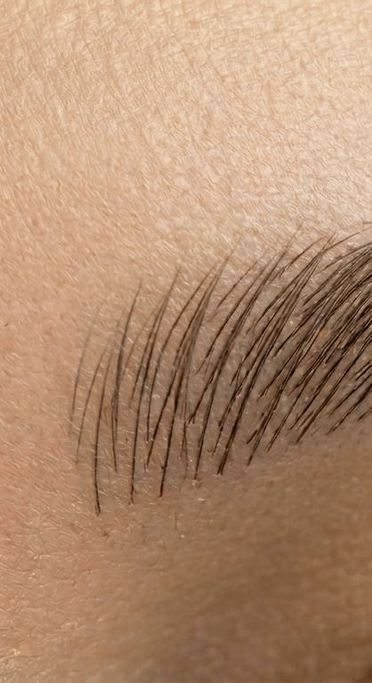 Microblading hair stroke close-up — crisp defined strokes, Auckland